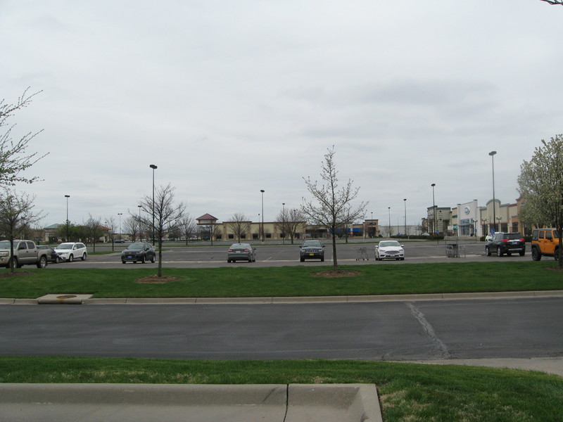 A parking lot with cars lined up in front of a gray sky.