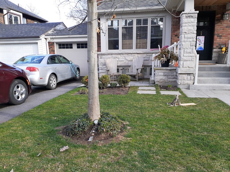 This is a picture taken of a person's front yard, which has two patio chairs by the entrance to the house and two cars parked in the driveway. 