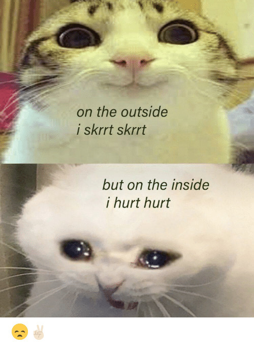 Meme image of two cats; one picture is on the top, and the second picture is on the bottom. The cat on the top has wide eyes and smile.  Text reads, "on the outside I skrrt skrrt".  The cat on the bottom has teary eyes and an open mouth.  Text reads, "but on the inside I hurt hurt".