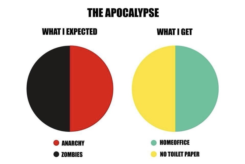 A pie graph meme showing two pie charts that have the words THE APOCALYPSE at the top. Above the left pie chart says: WHAT I EXPECTED and is showing a pie chart that is even split between anarchy and zombies. On the right above the other pie chart says WHAT I GET which shows another pie chart that is even split between home office and no toilet paper. 