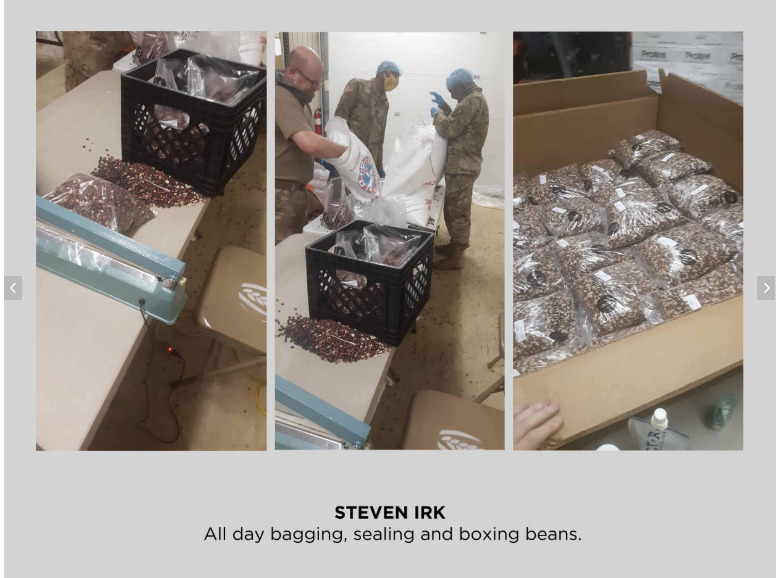 Three photos of people bagging beans.