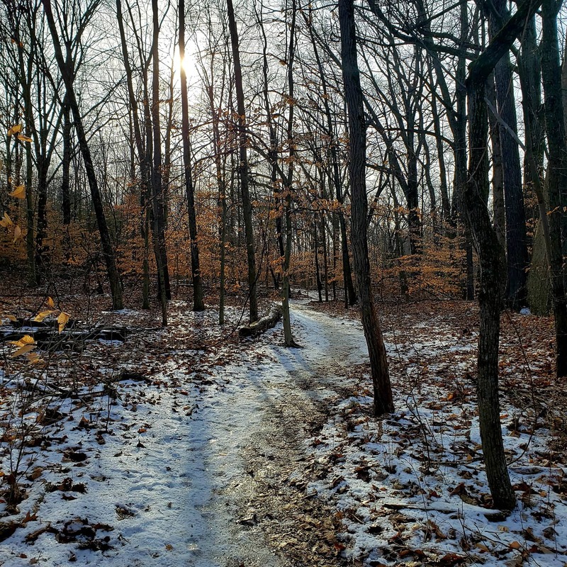 This is a photo of a path through the woods. There are many leaves on the ground covered with snow. 