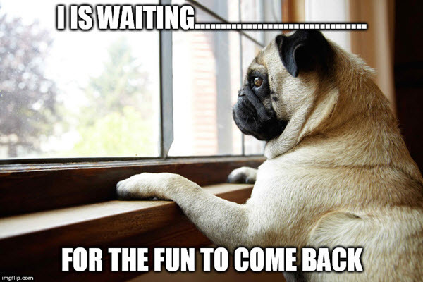 Meme with pug staring out of a window.  Text reads "I is waiting....for the fun to come back".
