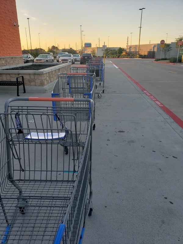 A line of shopping carts in a parking lot. 