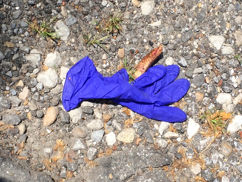 Latex glove laying in the dirt. 