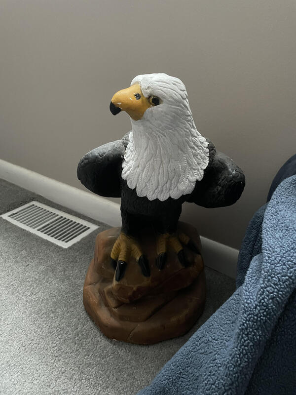 This is a picture of an eagle sculpture set on a carpeted floor.