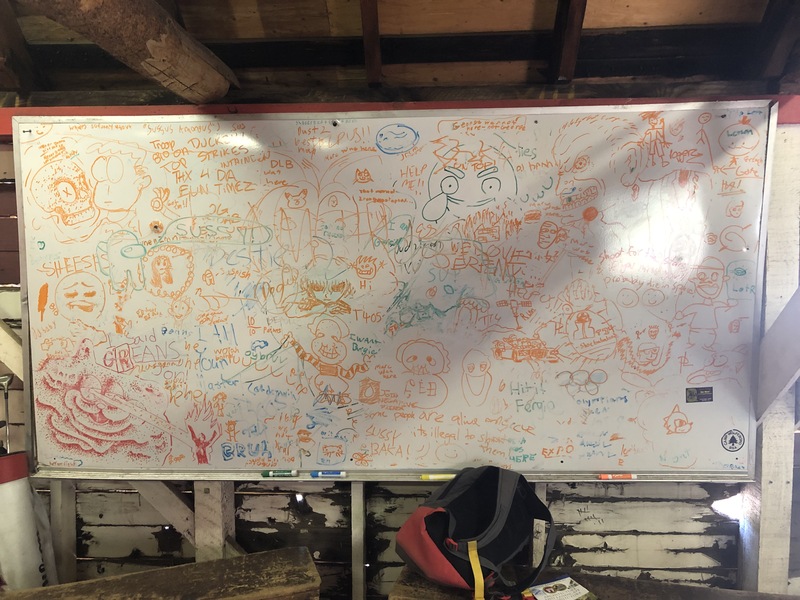 This is a picture taken of a whiteboard that has a large amount of different drawing on it in orange marker.