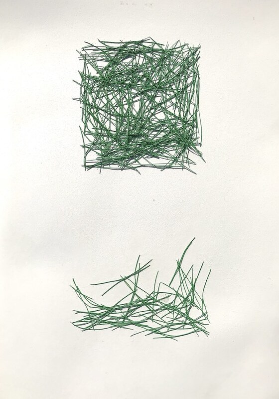 This is a picture of what appears to be real or fake blades of grass arranged into a square shape on a white background. 