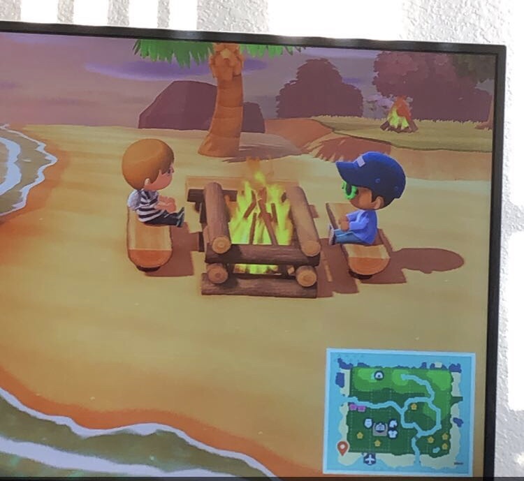 The game Animal Crossing being played on a television. 