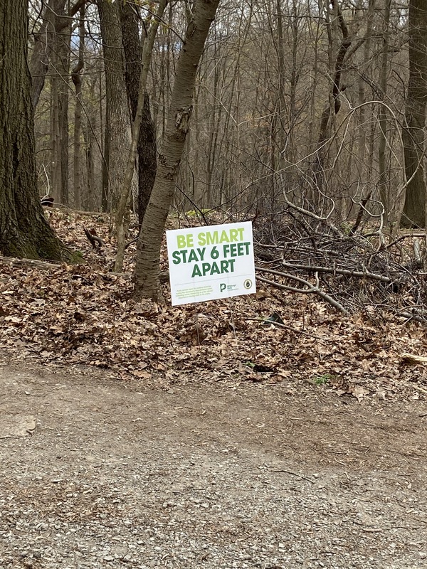 Sign in with light and dark green text, "BE SMART STAY 6 FEET APART" off the side of the path.