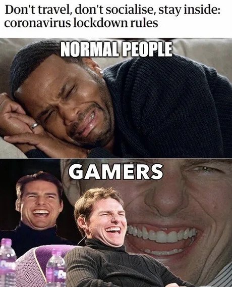 Normal People vs Gamers · A Journal of the Plague Year · Covid-19 Archive