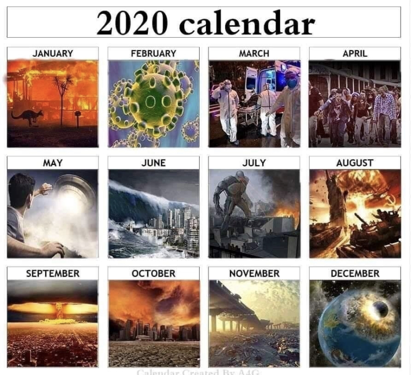 Meme Calendar meme and Outfits 2020 · A Journal of the Plague Year