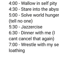 Screenshot of a meme describing a schedule.