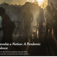 A news article titled "Two crises convulse a nation: a pandemic and police violence" with a photo of a protest and smoke.