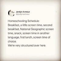 Twitter post of a homeschooling schedule.