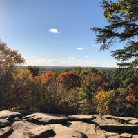 Sunny, rocky outcrop overlooking the forest.