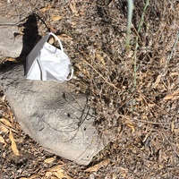 Discarded white mask on the rocky ground.