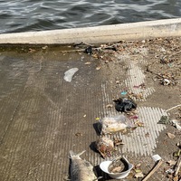 This is a picture of a boat ramp at a lake, which is littered with trash including a face mask, a dead fish, and a dead bird. 