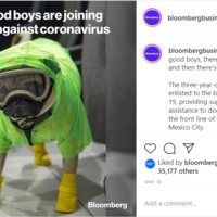 Screenshot of an Instagram post of a dog and a caption explaining that the dog will be trained as an emotional support animal for healthcare workers.