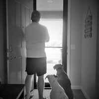 This is a black and white photo which depicts a man wearing a backwards baseball cap and two dogs staring out of a screen door. 