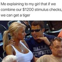 Meme that says "Me explaining to my girl that if we combine our $1200 stimulus checks, we can get a tiger." 