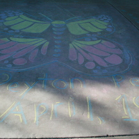A chalk drawing of a butterfly. 