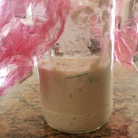 Photo of a Sourdough bread starter.