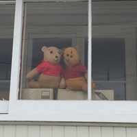 Two Winnie the Pooh bears sitting in a window. 