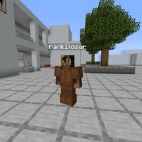 A screenshot of a video game character with the name "rank1loser".
