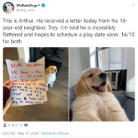 A tweet showing a picture of a dog and a letter from the dog owner's neighbor offering to walk the dog or dog-sit after the pandemic.