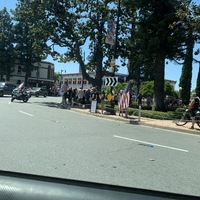 People holding flags gathering underneath a tree.